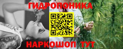 прущие грибы Мариинск