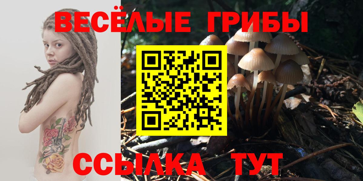 Галлюциногенные грибы мухоморы  Вход с VPN  купить   Усть-Илимск 